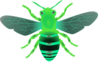 Bee B Green Image